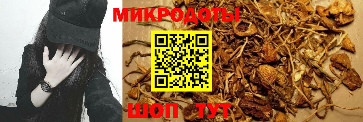 Краснодар  где можно купить наркотик  Вход с VPN  Псилоцибиновые грибы мухоморы 
